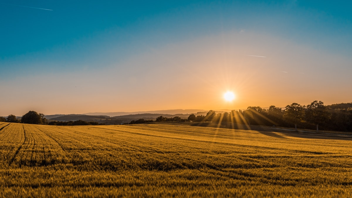 Sonnenschein Aussicht